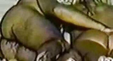 Tomm Gun Gunn sex gai dep cums bạn gái của mình trong âm hộ của cô và kiêm đi ra.