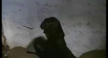 Brunette hút vòi nước dày. sexkoche