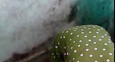 Một phụ nữ trẻ fucks trong ass sex mỹ đen với một ông già.