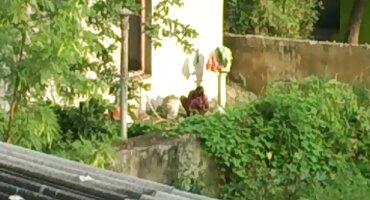 Bintang Plabo jav phim